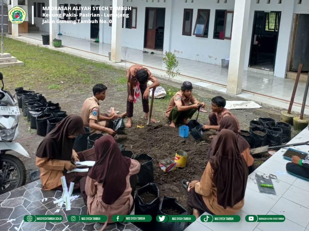 Tim Pramuka MA Syech Tambuh Laksanakan Program Penghijauan Melalui Penanaman Bibit Sayuran